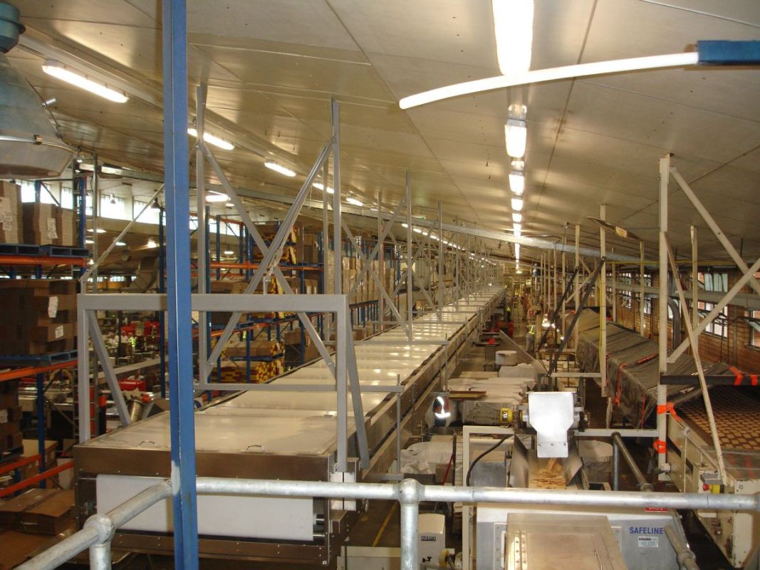 Biscuit Cooling Conveyors